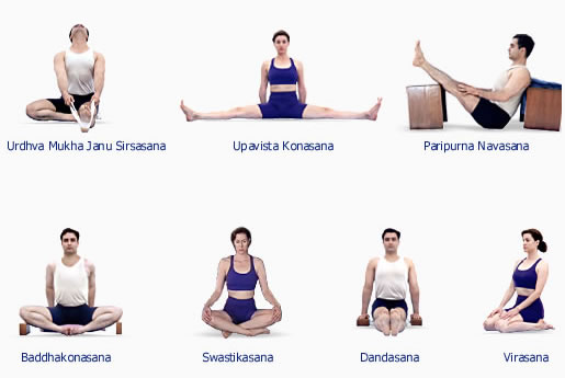 poses iyengar yoga iyengar easy may for find  yoga positions  names sitting poses  beginners yoga
